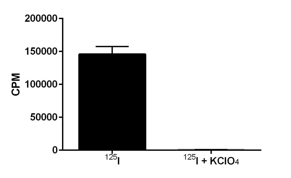 4T1-mNIS-Neo/iRFP-Puro
